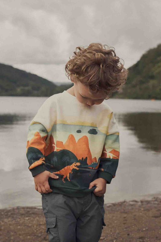 Orange/Cream Dinosaur Character Scene Crew Neck 100% Cotton Sweatshirt | Sweatshirts | next, <p>Orange/Cream Dinosaur Character Scene Crew Neck 100% Cotton Sweatshirt</p>. We delivery across Pakistan