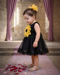 Black Sunflower