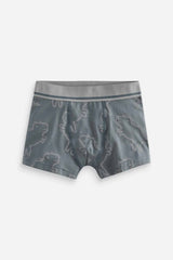 Linear Dino Print Trunks 5 Pack