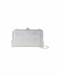 Metallic Clutch Bag