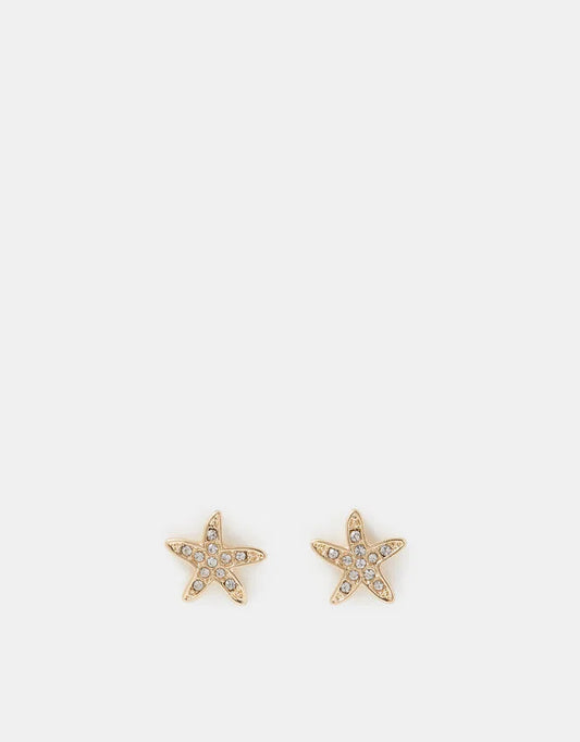 Starfish Stud Earrings Gold