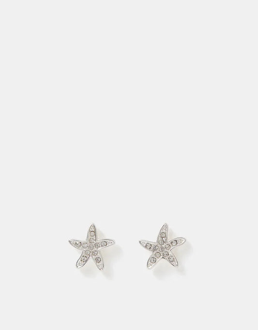 Starfish Stud Earrings Silver
