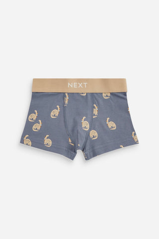 Blue/Grey Dinosaur Trunks 5 Pack