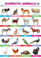 PARAMOUNT WALL CHART -DOMESTIC ANIMALS