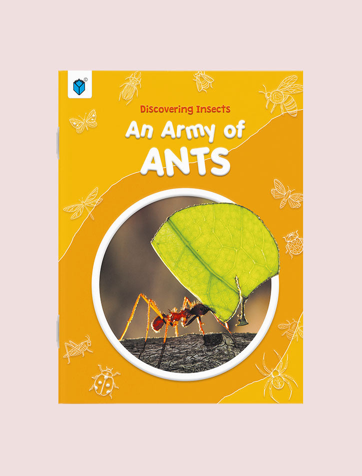 DISCOVERING INSECTS-AN ARMY OF ANTS