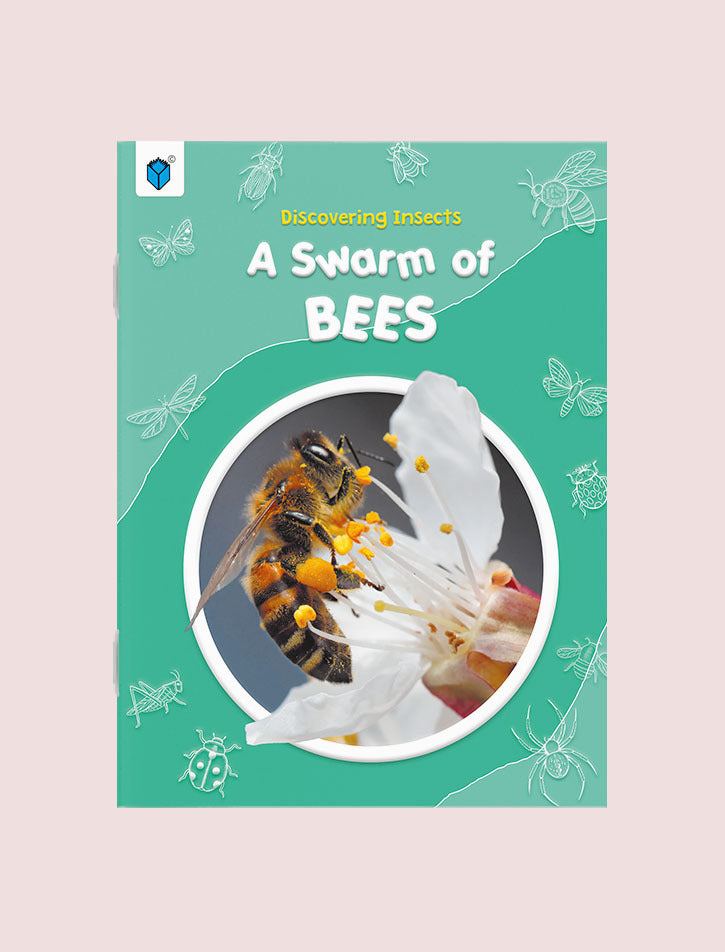 DISCOVERING INSECTS-A SWARM OF BEES
