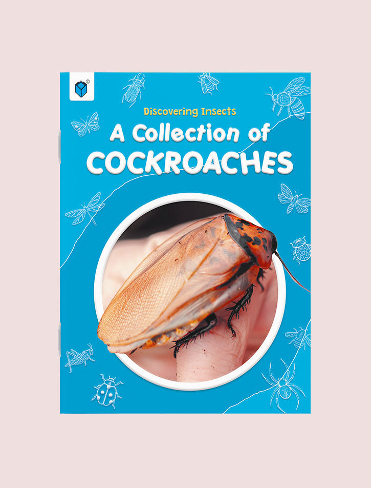 DISCOVERING INSECTS-A COLLECTION OF COCKROACHES