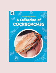 DISCOVERING INSECTS-A COLLECTION OF COCKROACHES