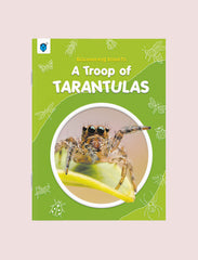DISCOVERING INSECTS-A TROOP OF TARANTULAS