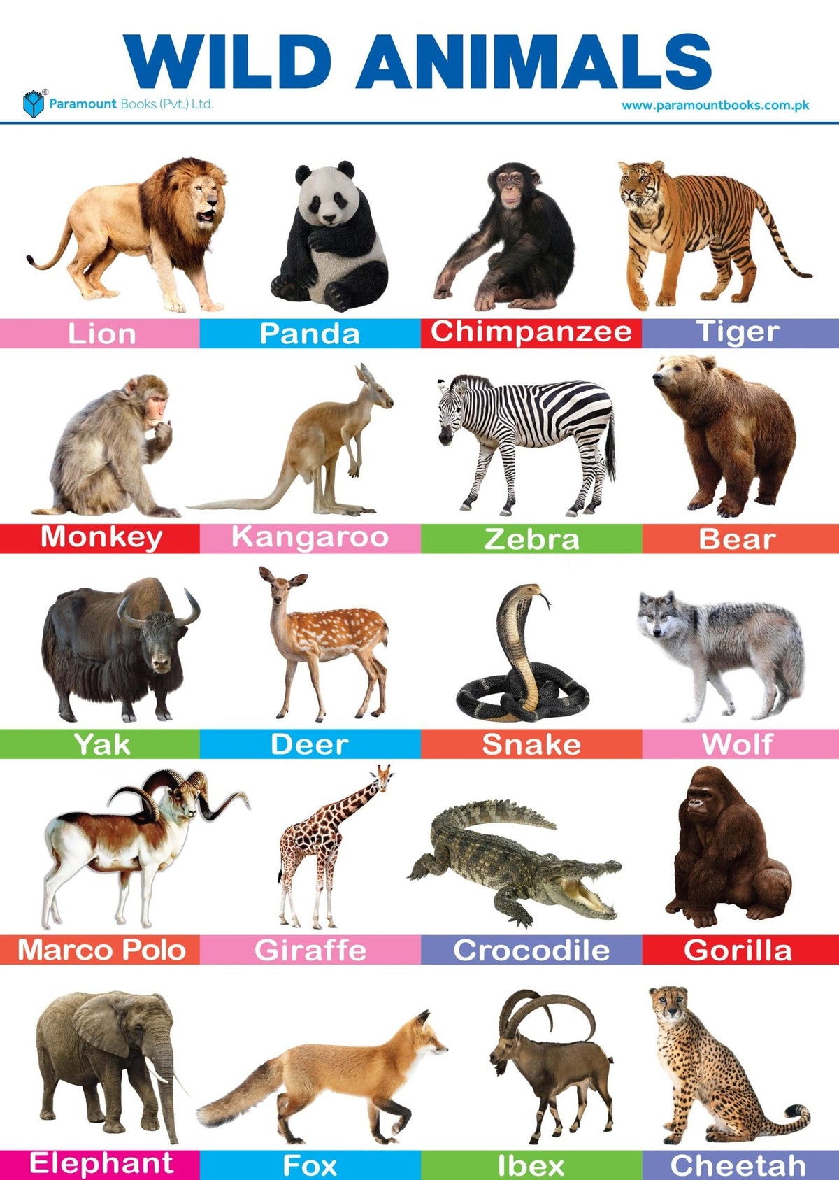 PARAMOUNT WALL CHART-WILD ANIMALS