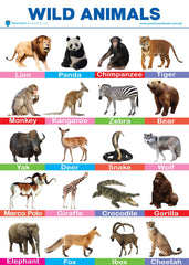PARAMOUNT WALL CHART-WILD ANIMALS