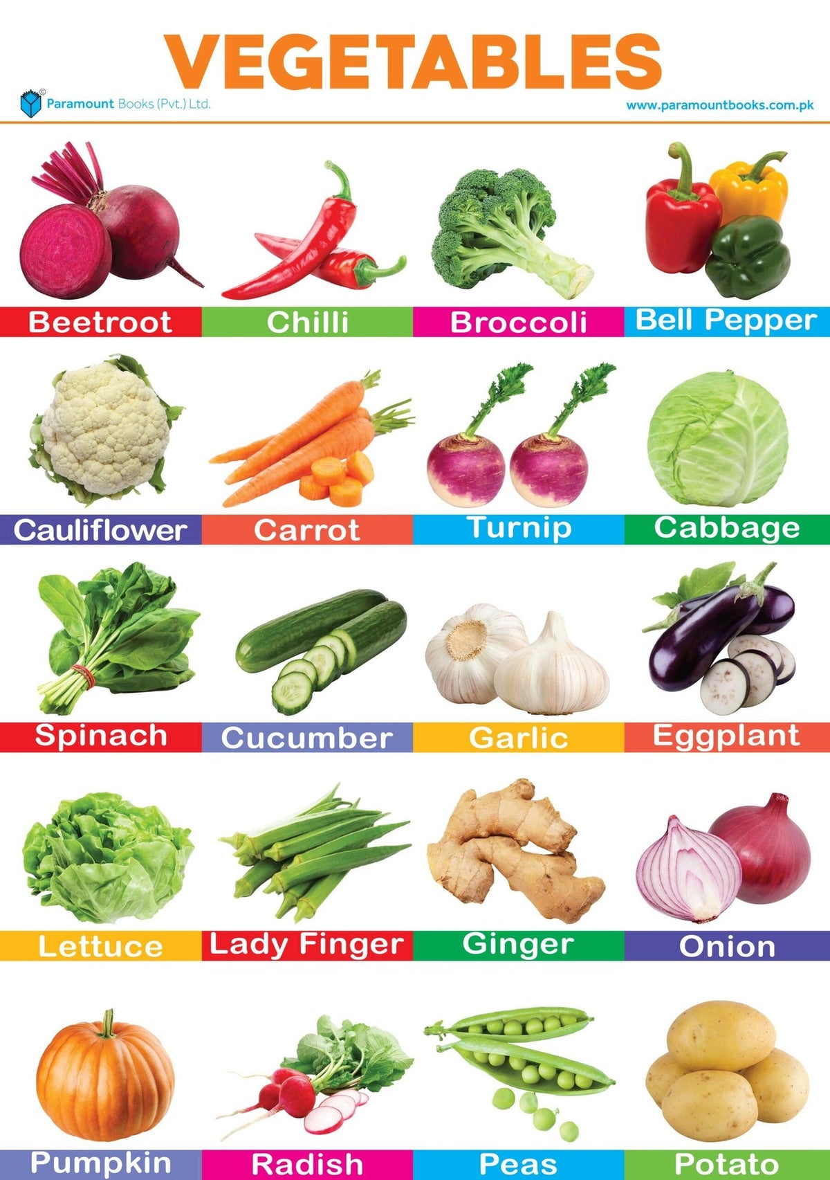 PARAMOUNT WALL CHART -VEGETABLES