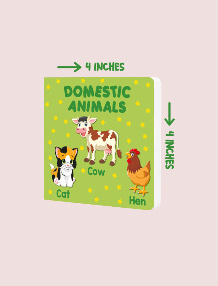 PARAMOUNT LITTLE HAND'S BOARD BOOK DOMESTIC ANIMALS
