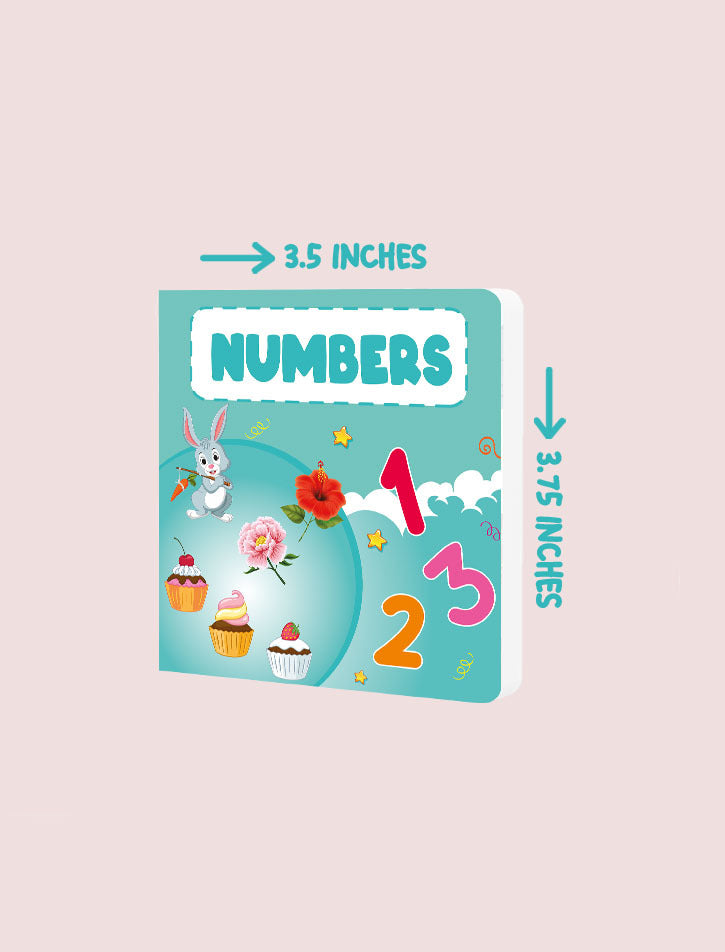 MY TINY BOARD BOOKS-NUMBERS 123