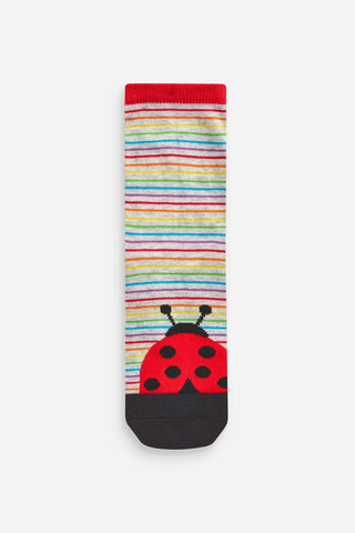 5 Pack Jolly Character Ankle Socks