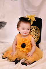 Mustered Sunflower