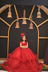 Royal Long Frock Based On Breeze Net And Ruffles | Frocks & Dress | QS STUDIO