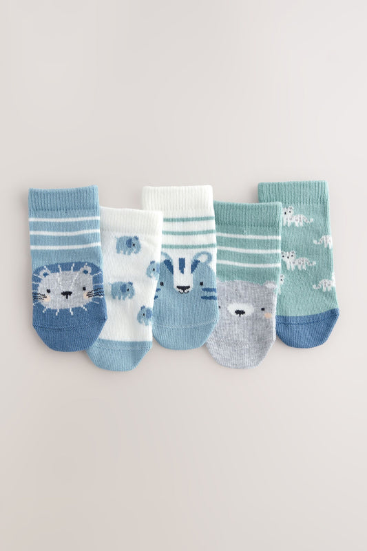 NEXT - SOCK 5 CHARAC GRYBLU