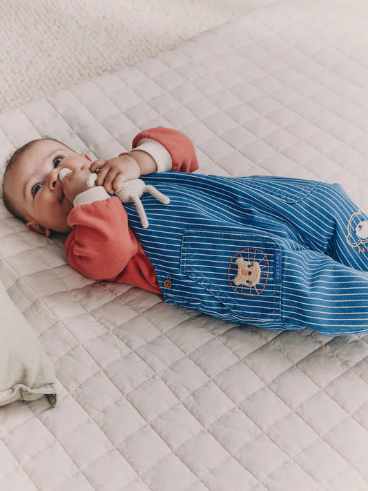 NEXT - NCNVJ-Boys Sets-Blue