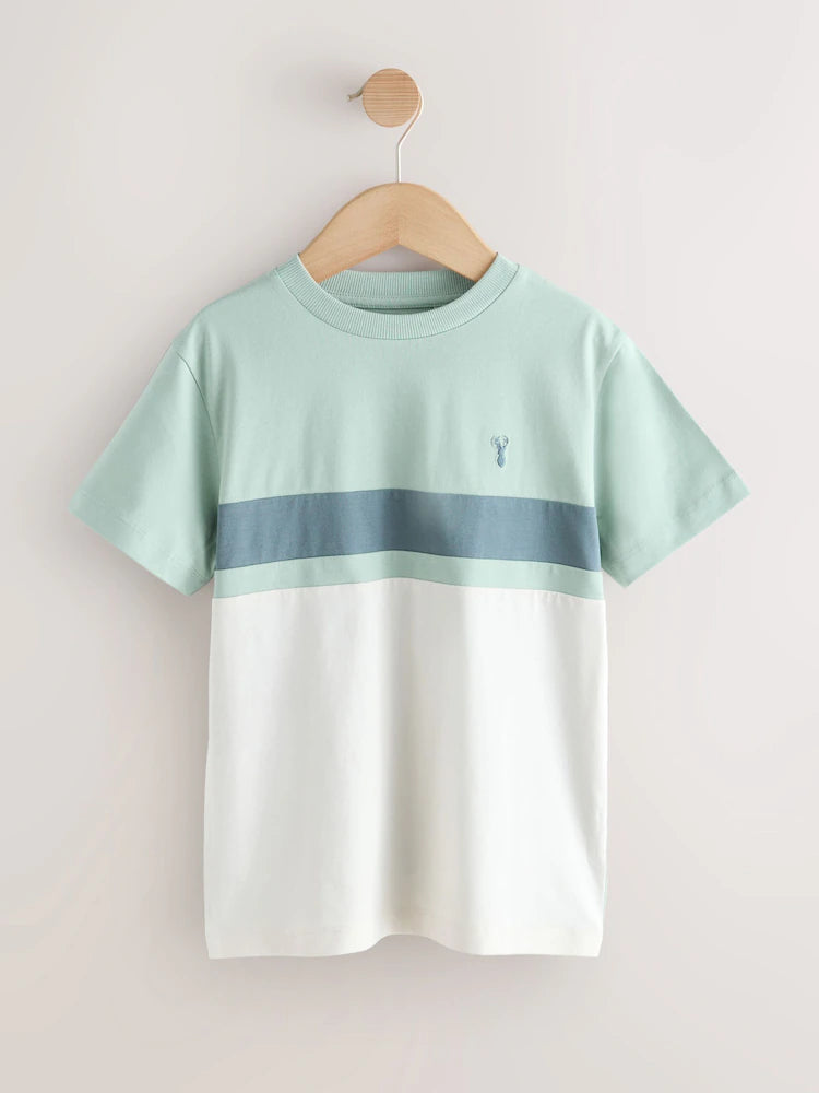 Mineral Green/Ecru Colourblock Short Sleeve T-Shirt