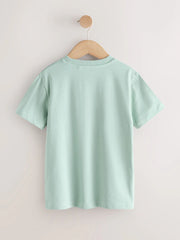 Mineral Green/Ecru Colourblock Short Sleeve T-Shirt