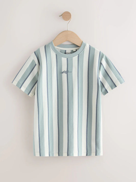 Mineral Stripe Regular Fit Short Sleeve Graphic Print T-Shirt