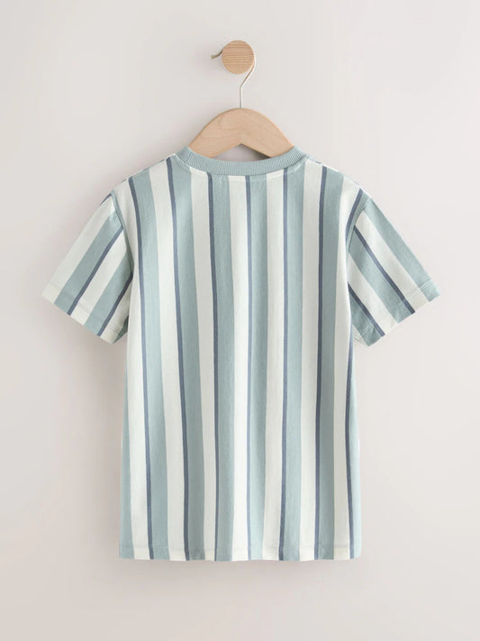 Mineral Stripe Regular Fit Short Sleeve Graphic Print T-Shirt