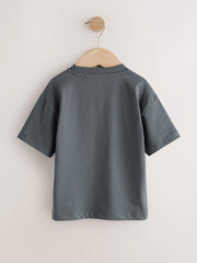 Charcoal Grey Cool Slogan Short Sleeve Small Graphic T-Shirt (3mths-8yrs)