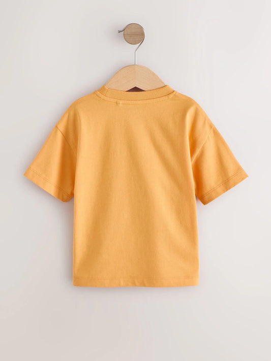 Orange Slogan Short Sleeve Small Graphic T-Shirt (3mths-8yrs)