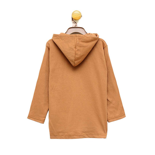 Plain Brown Pullover Hoodie