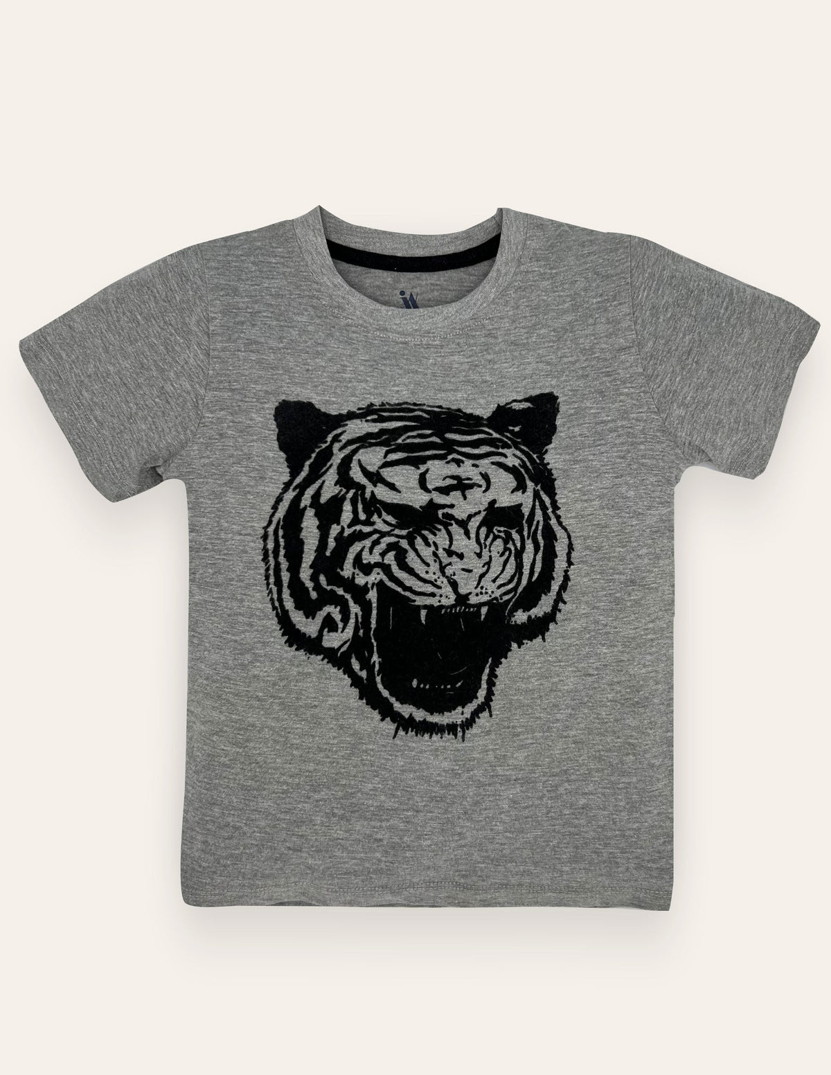 Boys Heather Grey Flock T-Shirt IXAMPLE Pakistan