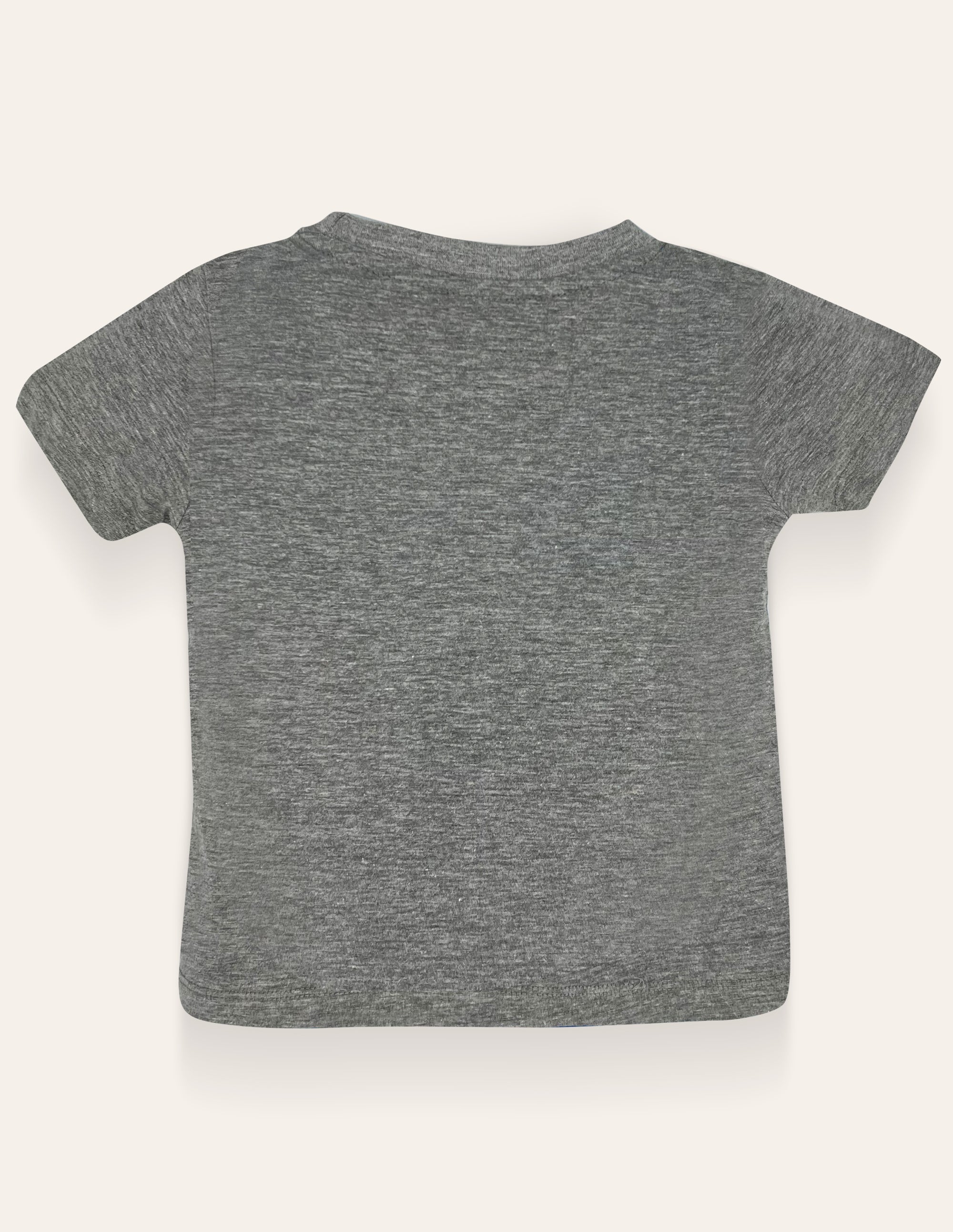 Boys Heather Grey Flock T-Shirt IXAMPLE Pakistan