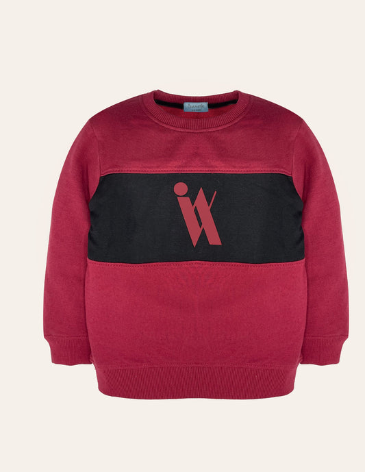 IX Colorblock Sweatshirt IXAMPLE Pakistan