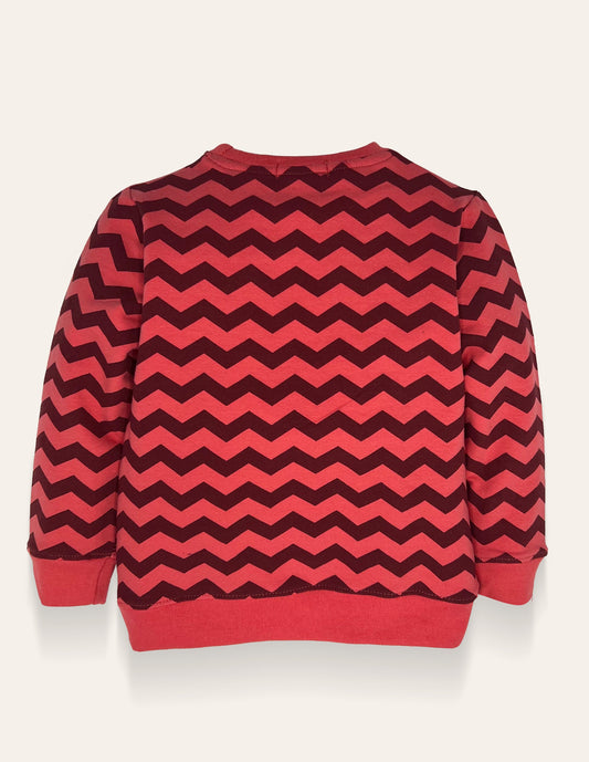 Girls Zigzag pattern Sweatshirt IXAMPLE Pakistan