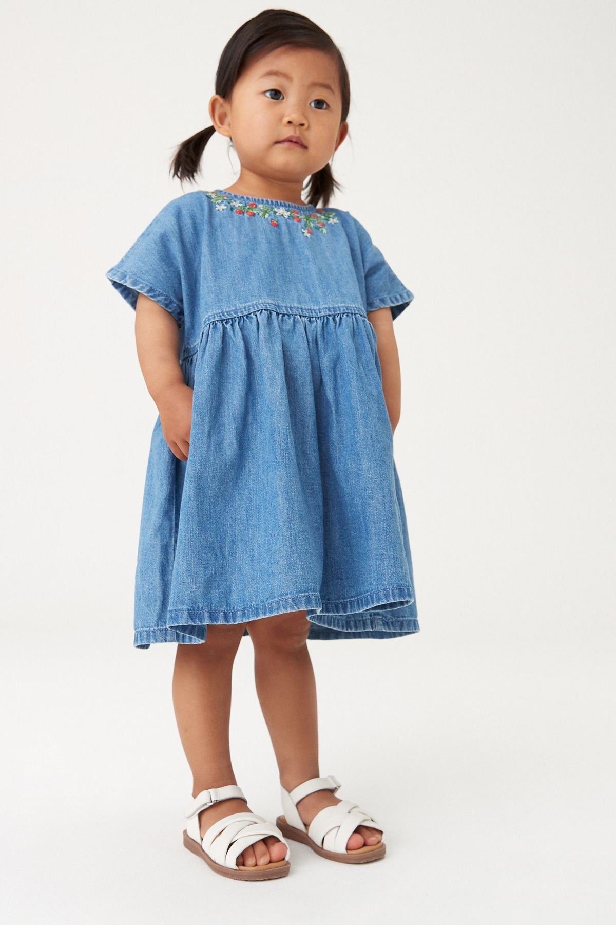 Blue Denim Strawberry Embroidered Dress NEXT UK