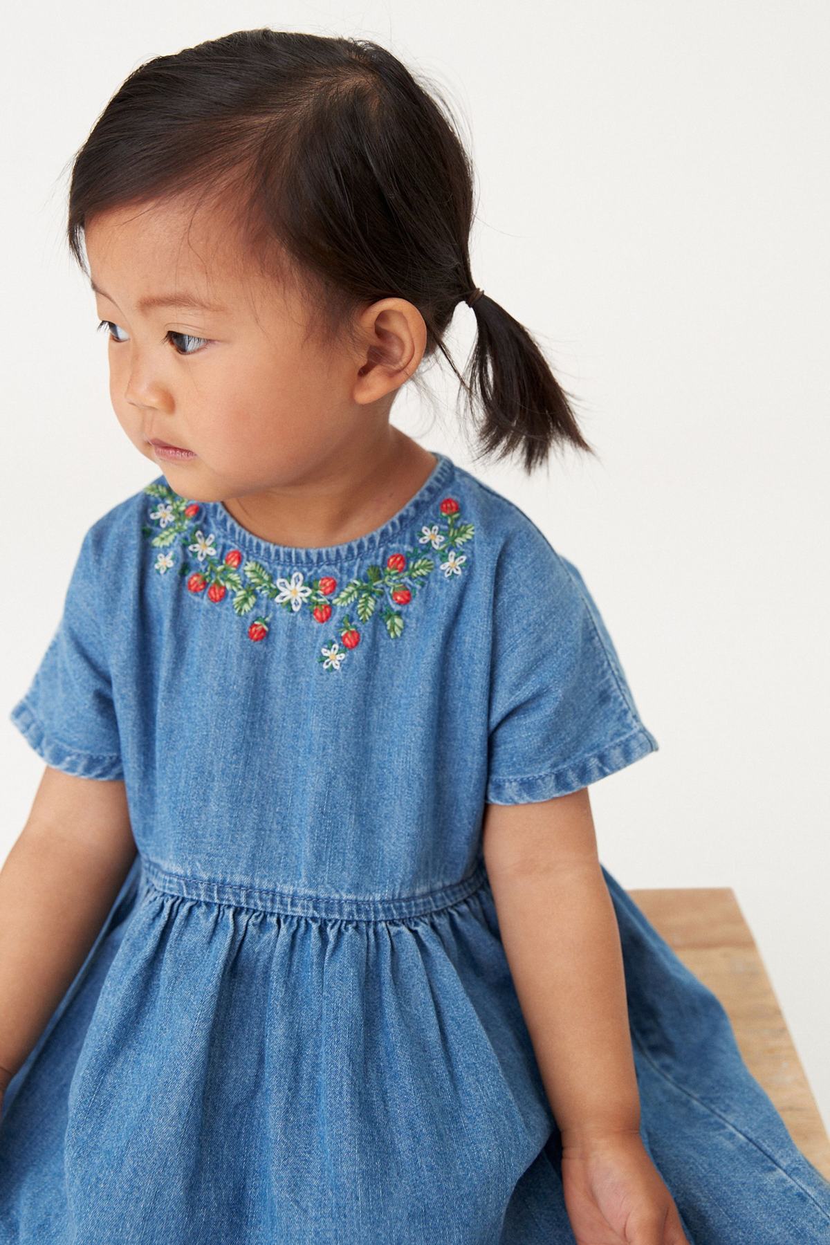 Blue Denim Strawberry Embroidered Dress NEXT UK