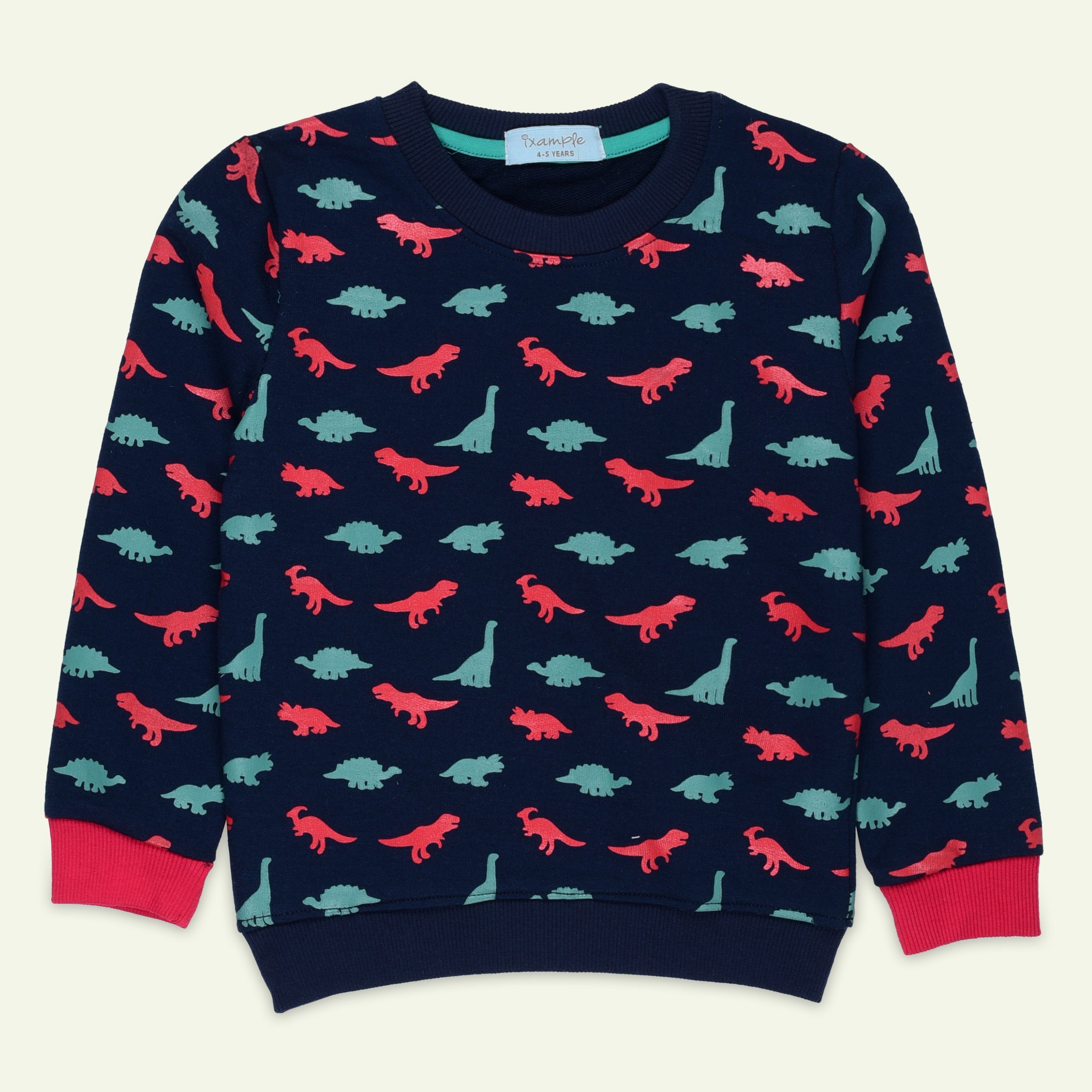 Navy Dino Printed Sweatshirt | IXAMPLE