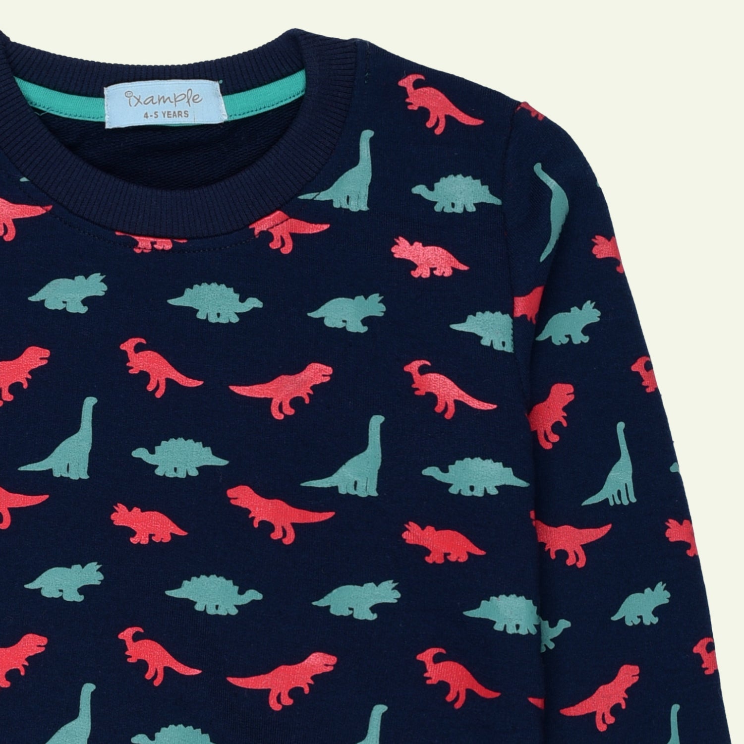 Navy Dino Printed Sweatshirt | IXAMPLE