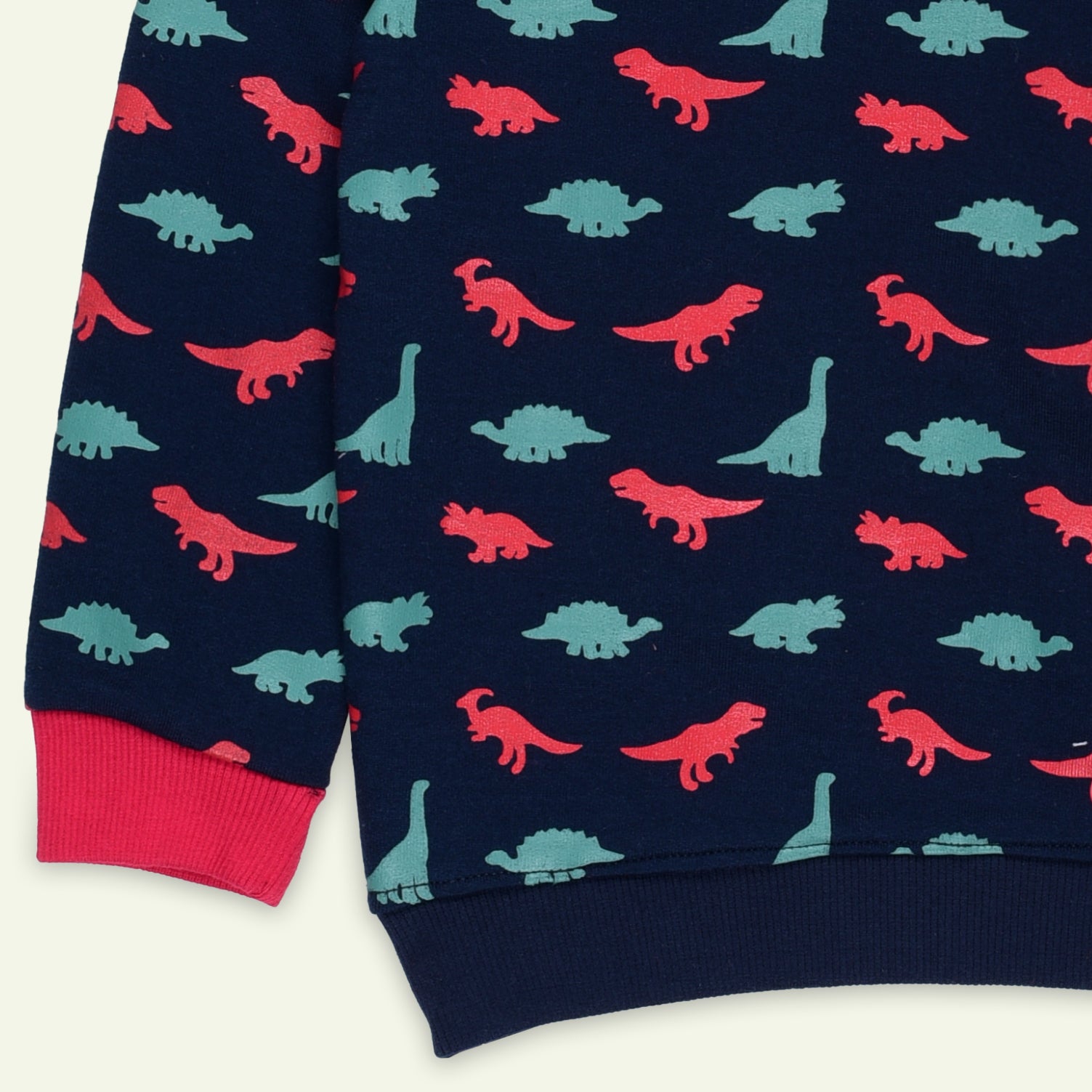 Navy Dino Printed Sweatshirt | IXAMPLE