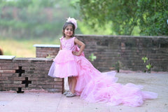 Pink Fancy Embroided Net