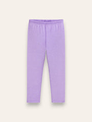 2 Pc Purple Tulle Dress & Legging Set