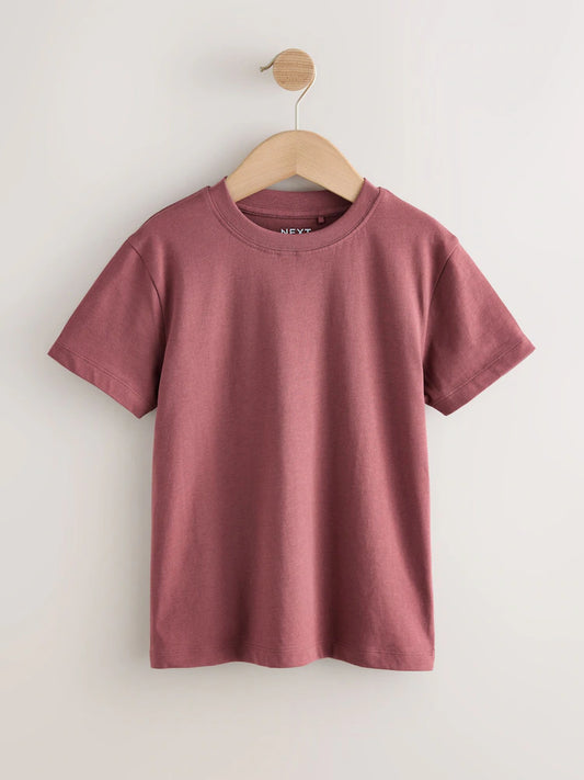 Berry Red Regular Fit Short Sleeve T-Shirt