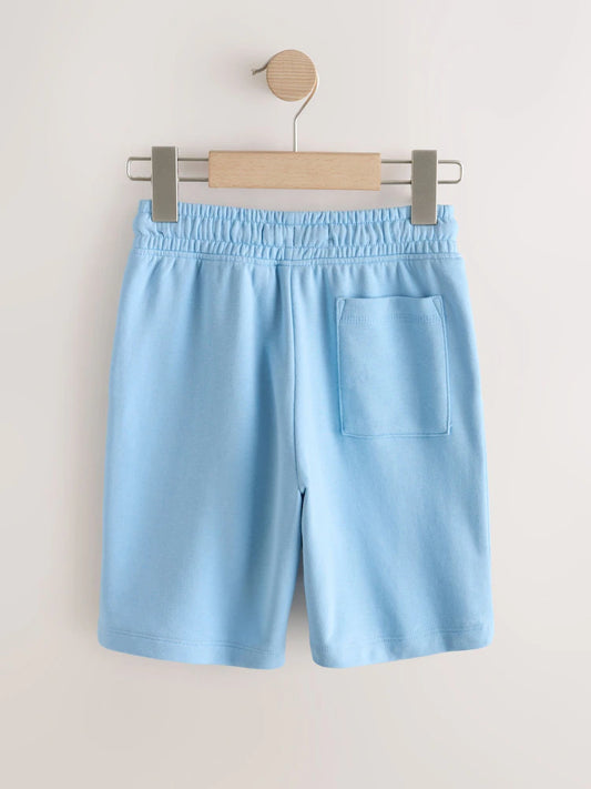 Light Blue Regular Fit Basic Shorts (3-16yrs)
