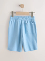 Light Blue Regular Fit Basic Shorts (3-16yrs)