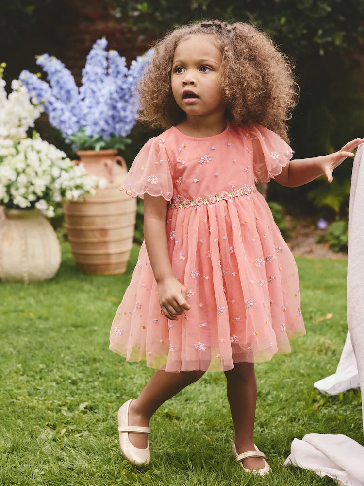 Peach Pink Embroidered Mesh Dress