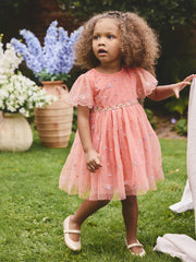 Peach Pink Embroidered Mesh Dress