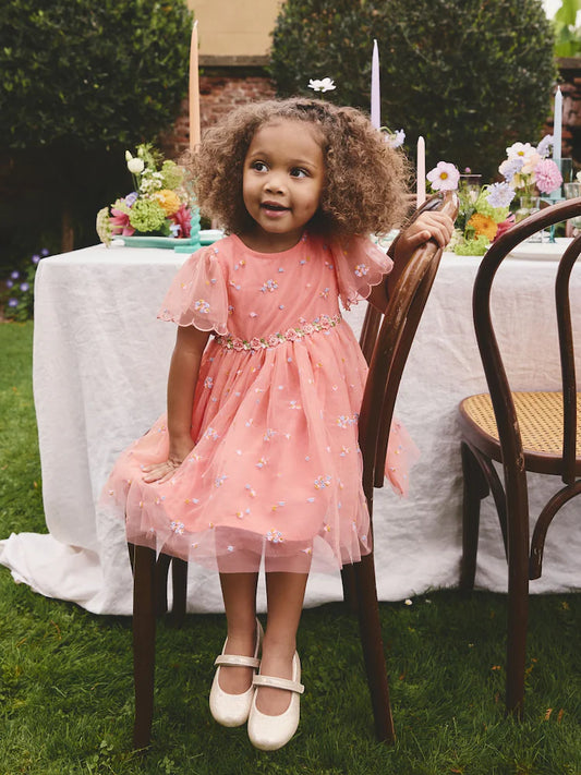 Peach Pink Embroidered Mesh Dress