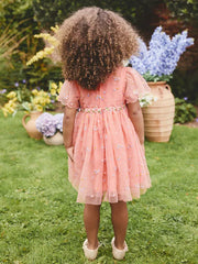 Peach Pink Embroidered Mesh Dress