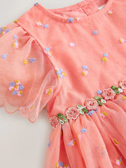 Peach Pink Embroidered Mesh Dress