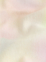 Multi Rainbow Ombre Regular Length Frayed Edge Denim Shorts (3-16yrs)